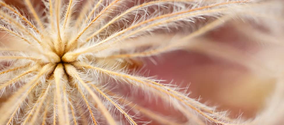 Sony Lens SEL30M35 Lente Angular Macro Montura E APS-C 30mm F3.5