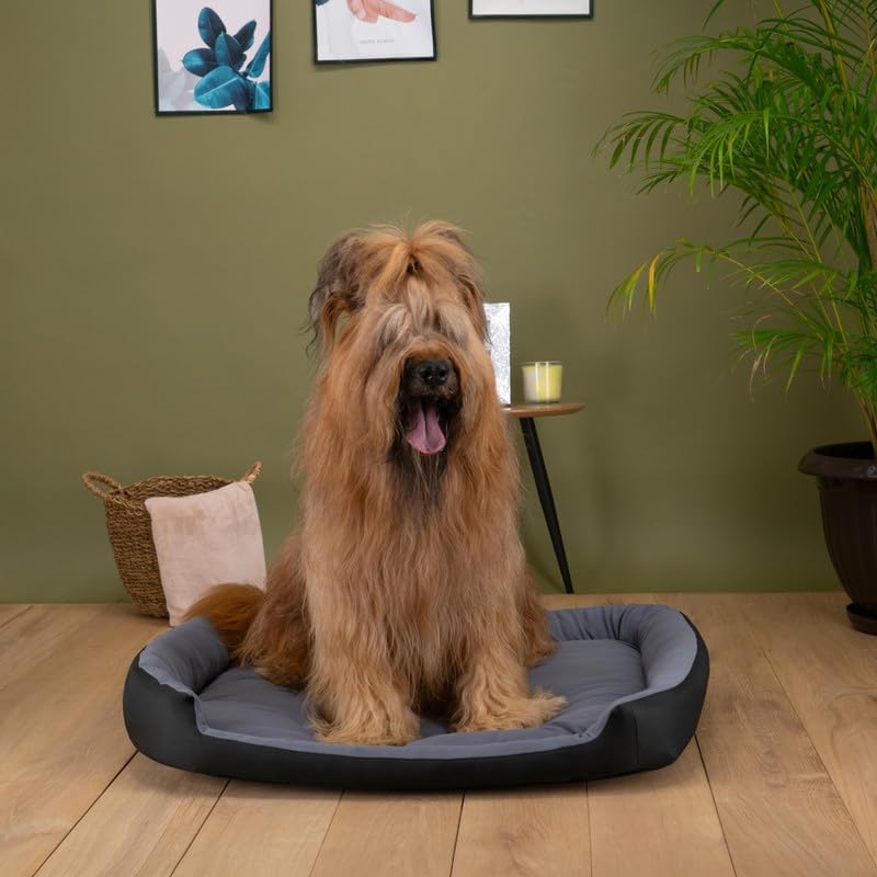 Cama para Perro Hills Negra Gris Confortable Resistente X-Large