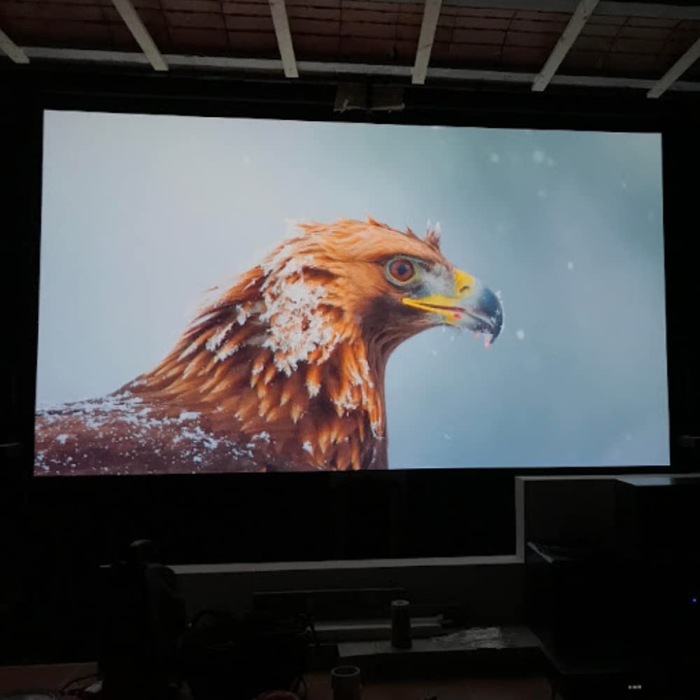 Smarter Surfaces - Pintura de visualización para proyector de alto contraste de 48 pies cuadrados | Pintura de visualización HD 4K 8K, color gris claro para cine en casa y juegos, diseñada para salas
