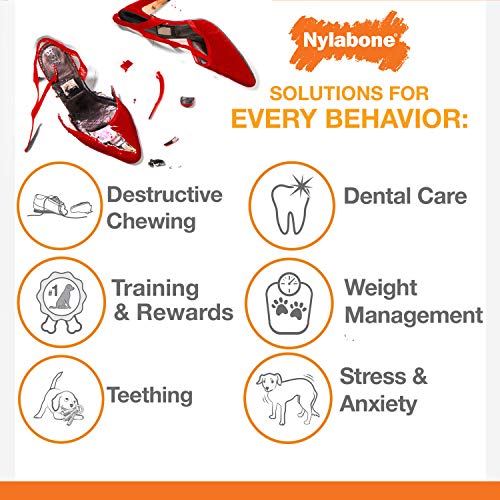 Juguete para Masticar Nylabone Dura Chew Axis para Perro