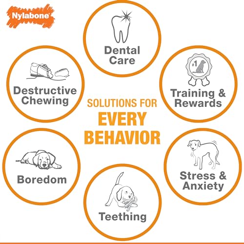Juguete Masticable Nylabone Maní Sabor Mantequilla para Perros