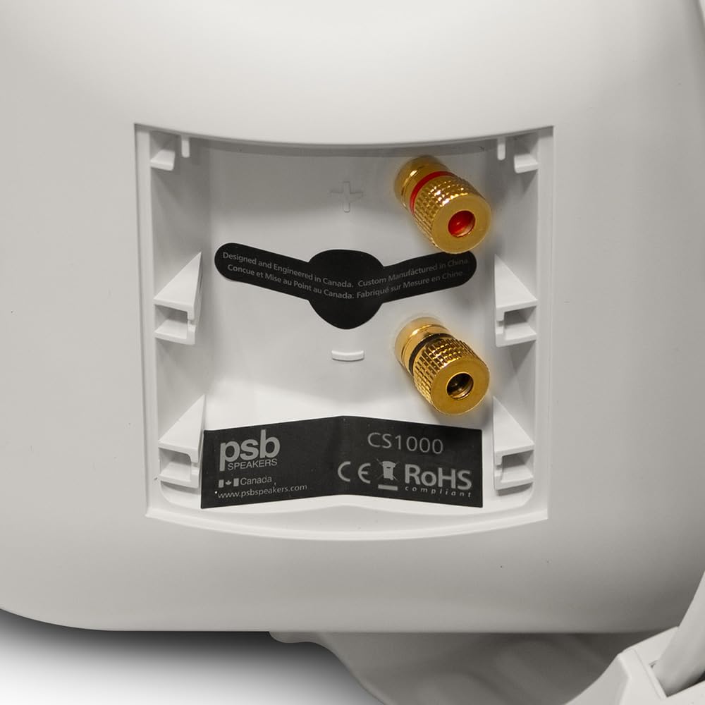 PSB Cs-1000 Bafle Exterior Blanco (PAR)