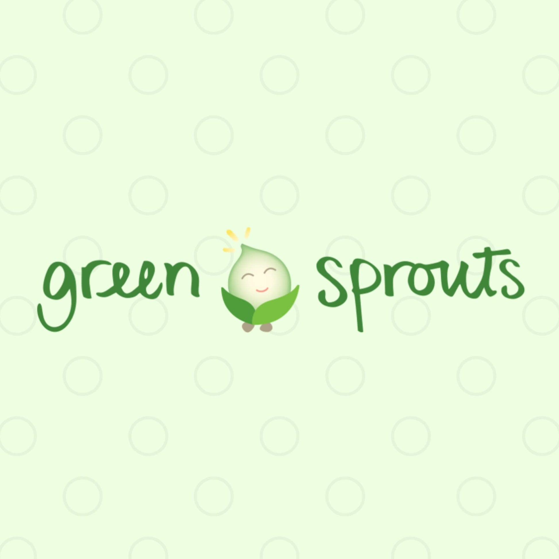 green sprouts Reusable Snack Bags (2 Pack) Holds Food, Utensils, Wipes, & More Food-Safe, Waterproof, Easy-Clean Material
