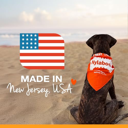 Juguete Para Perro, Marca Nylabone Hueso Power Chew Anillo Con Textura