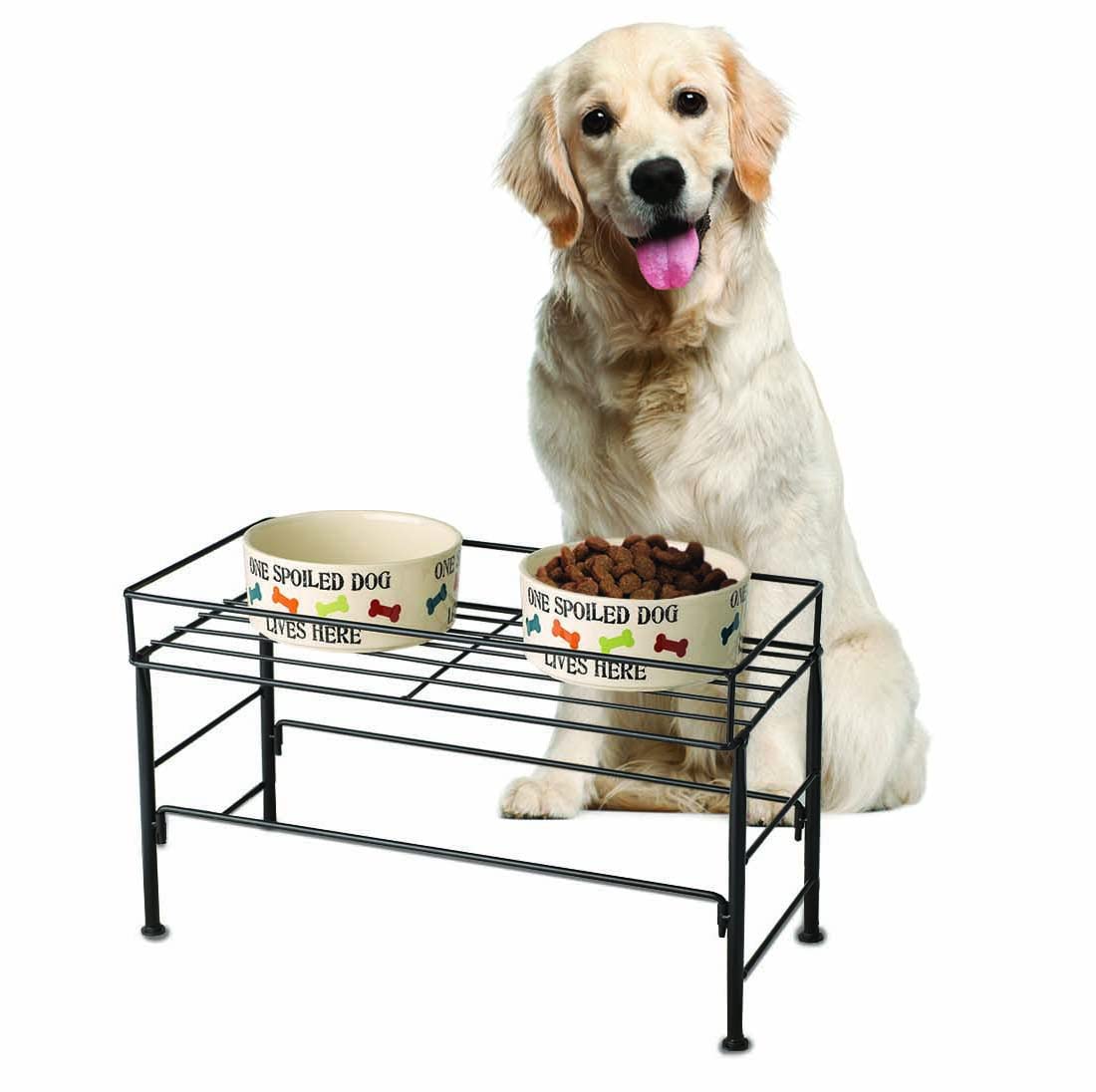 Comedero PetRageous con Marco de Acero Negro para Perros Grandes y Extragrandes