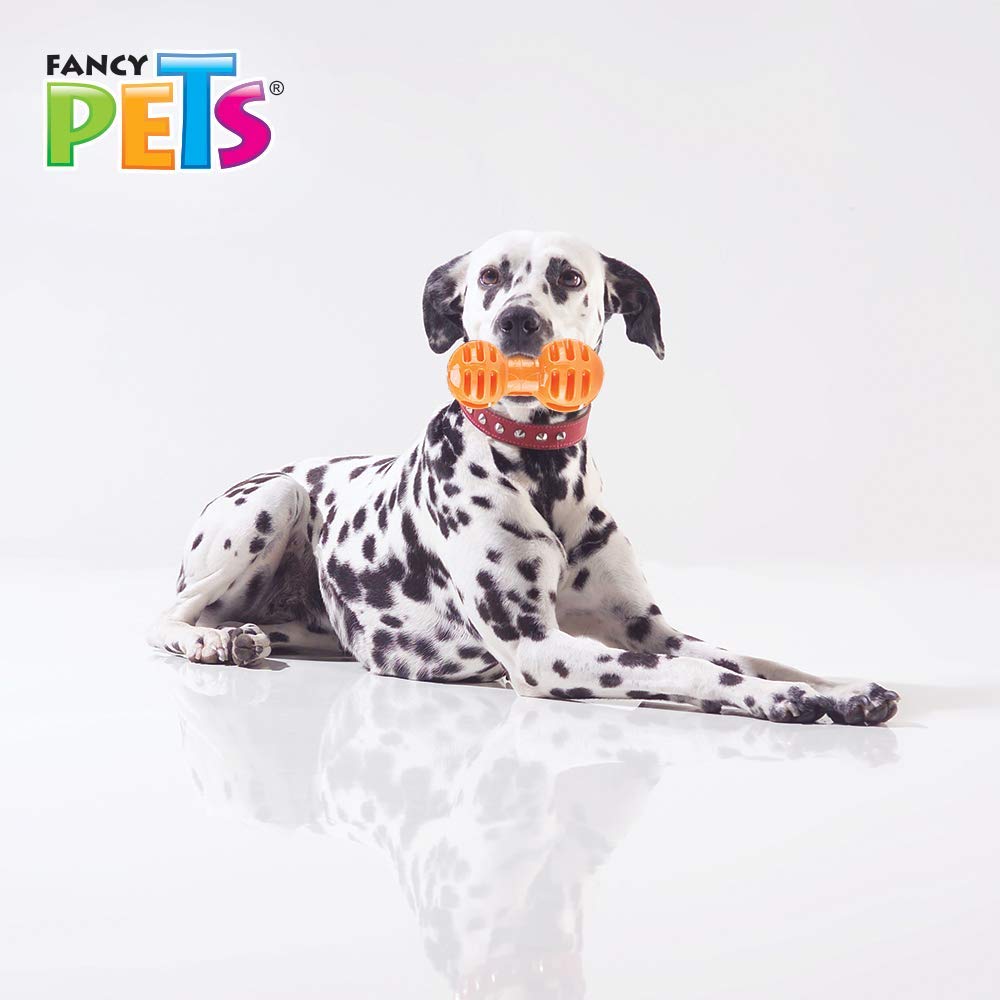 Juguete Pesa Fancy Pets Grande para Premios para Perros
