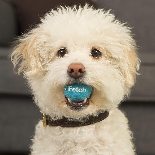 iFetch Mini Pelotas de Tenis, pequeño