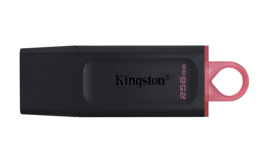 Kingston USB DTExodia 256GB USB 3.2 Gen 1 (DTX/256GB)
