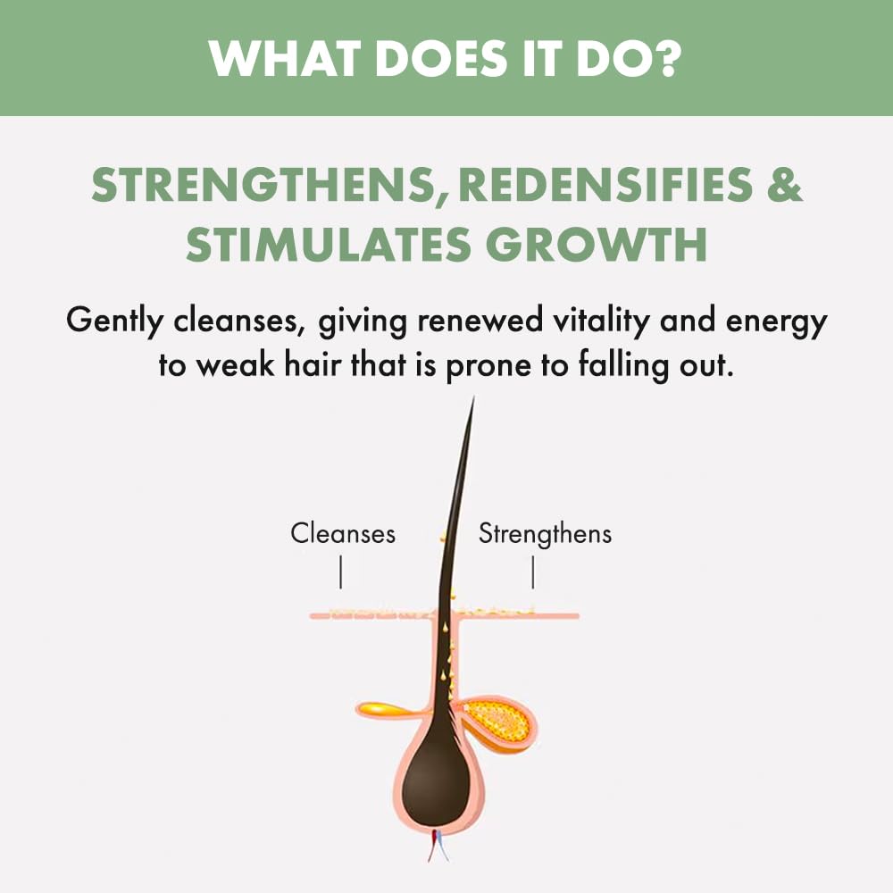 Sampoo ALFAPARF MILANO Semi di Lino 1000 ml