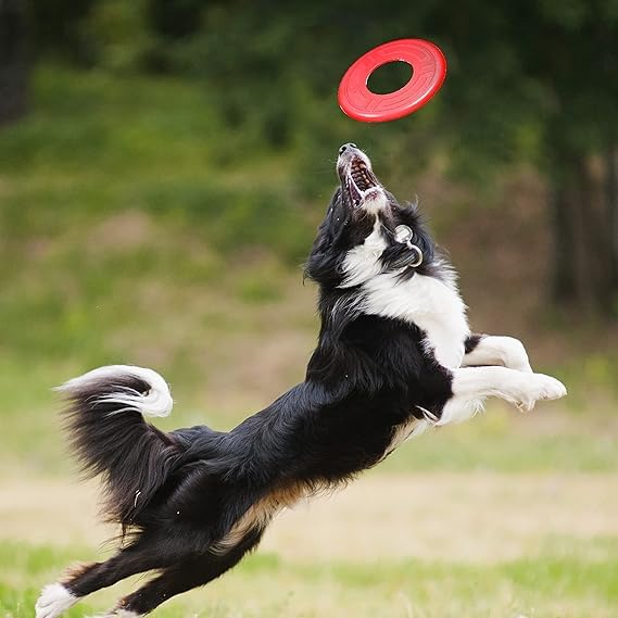 Juguete para Perro Nerf Flyer para Perro, Frisbee, Ligero, Duradero y Resistente al Agua, Ideal para Playa y Piscina, 10 Pulgadas de diámetro, para Razas Medianas/Grandes, Rojo, One-Size-for-Most