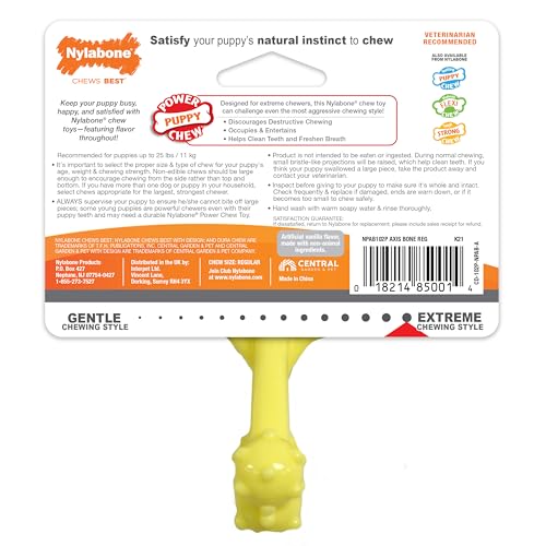 Juguete Masticable de Nailon Nylabone Puppy Power Axis Pequeño para Cachorros
