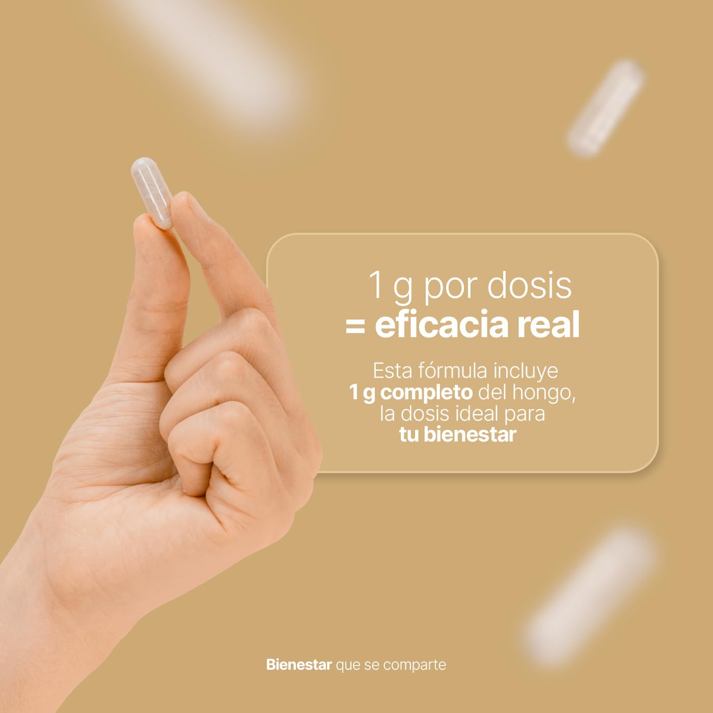B Life Hongo Melena de León Puro | 200 Cápsulas | 1000 mg por porción | Ingredientes naturales | Lions Mane Blend.