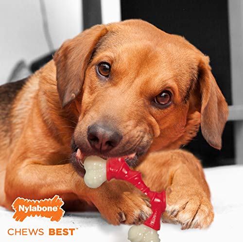 Juguete de Perro Nylabone Naranja y Blanco sabor Tocino