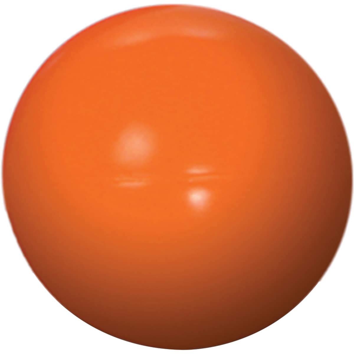 Pelota para Perros Doggie Dooley 4.5 Pulgadas Indestructible
