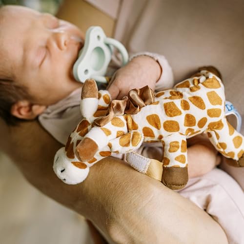Soporte para Chupete y Mordedor Dr. Brown's Jirafa HappyPaci Verde Claro para Bebé 0-12 Meses