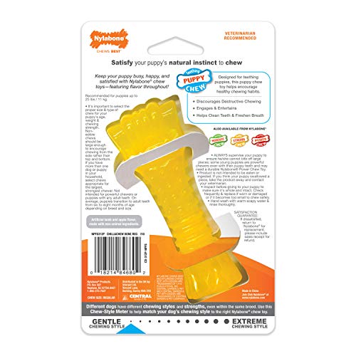 Juguete Power Chew Nylabone Cordero y Manzana Hueso para Congelar