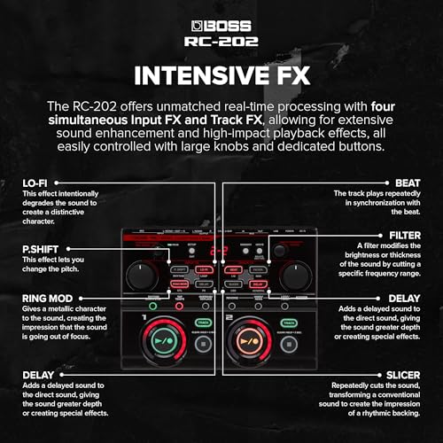 Boss RC-202 Loop Station