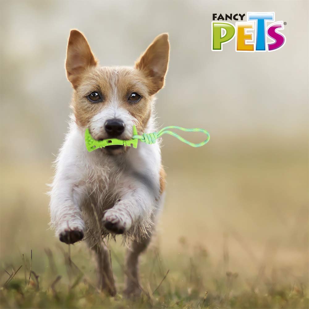 Fancy Pets Juguete Pull Hueso con Cuerda para Perro