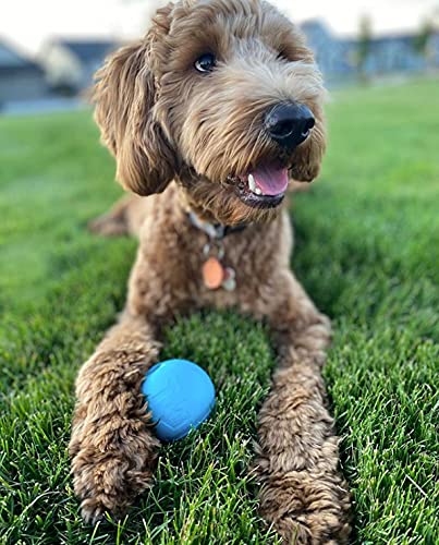 Chew King Fetch Balls - Juguete de Goma Natural Extremadamente Duradero de 4 Pulgadas, Paquete de 2 (CM-10031-CS01)