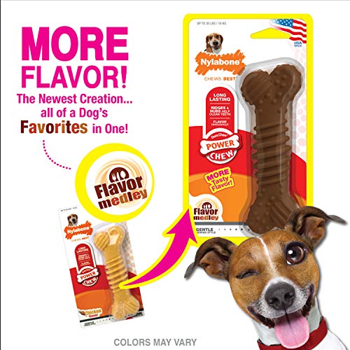Juguete Masticable Texturizado Nylabone Dura Chew Sabor Hueso Medley Lobo Medio