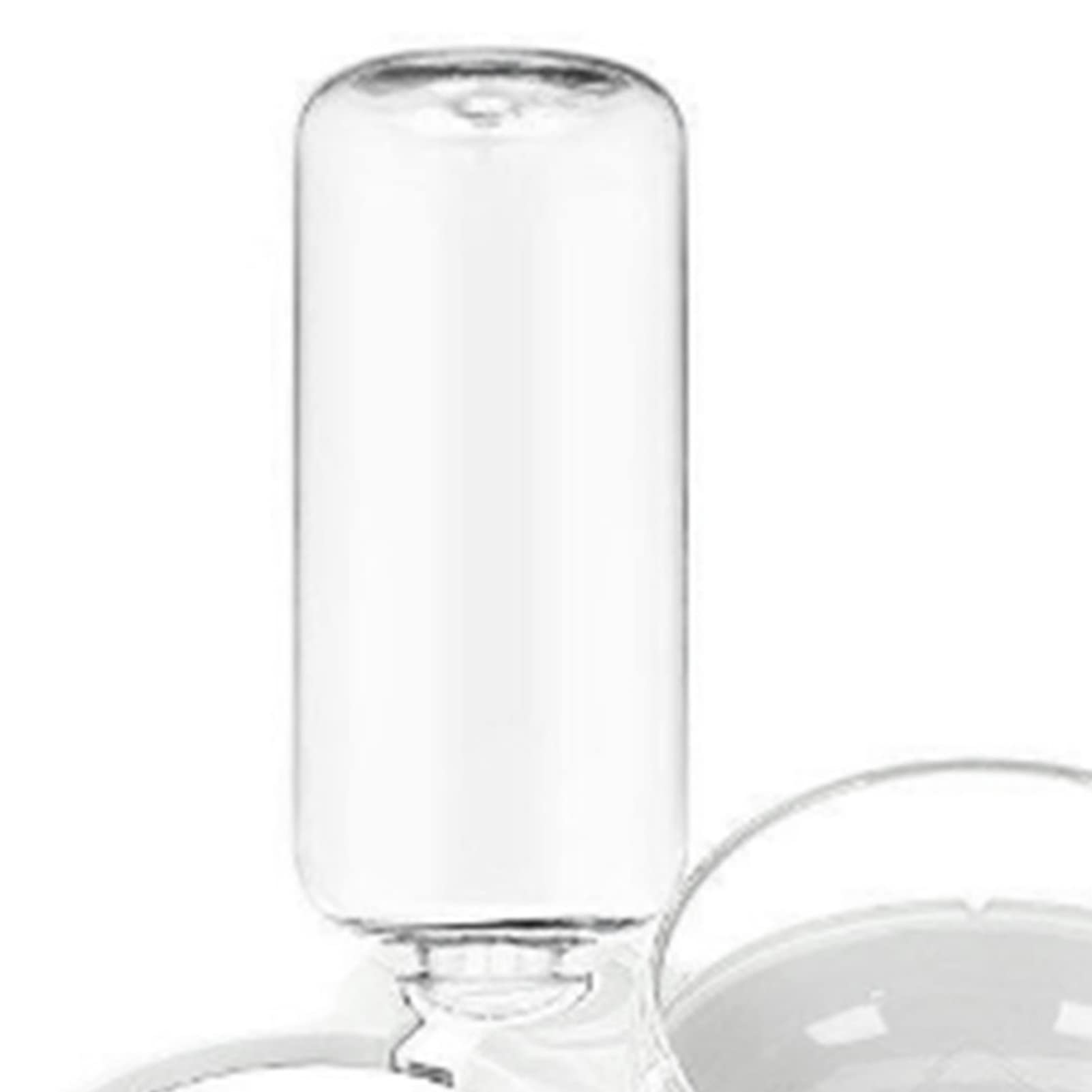 AMONIDA Plato Triple para Mascotas, Diseño Inclinable, Juego de Tazones de Agua para Mascotas, Protección de la Columna Cervical, Inodoro con Botella de Agua, Gato y Perro (Blanco)