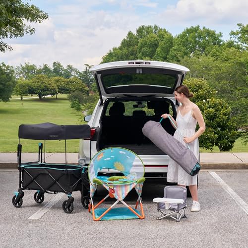 Cochecito Transportador Summer by Ingenuity Negro Verde Azulado con Techo para Bebés