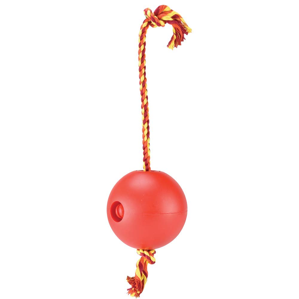 Fancy Pets FL9301 Juguete Bola Flotante