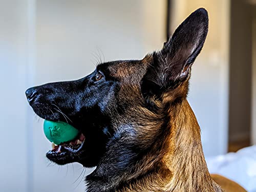 Chew King Fetch Balls - Juguete de Goma Natural Extremadamente Duradero de 2.5 Pulgadas, Paquete de 8 (CM-0264-CS01)