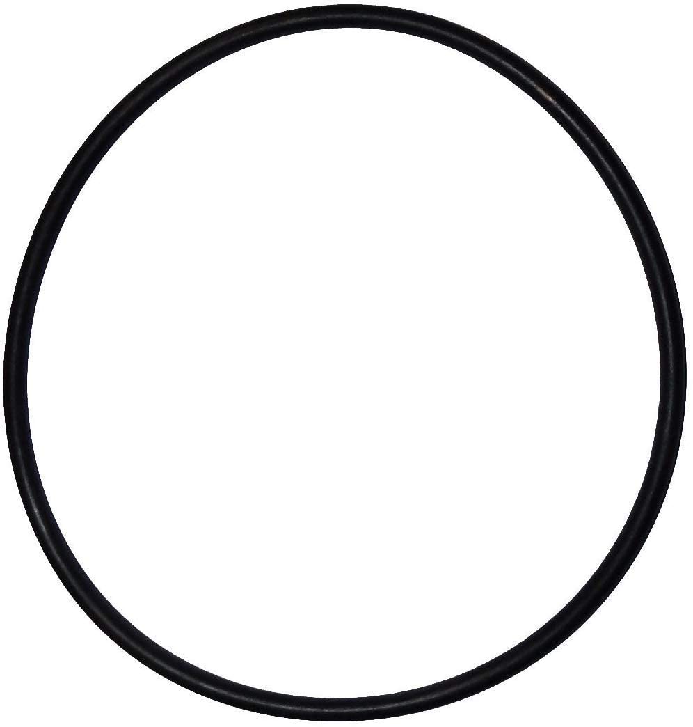 GDAOJGUHPOQ - Junta tórica de repuesto 151122 compatible con filtros de agua Pentek Big Blue Tamaño ORing Buna-N (paquete de 4)