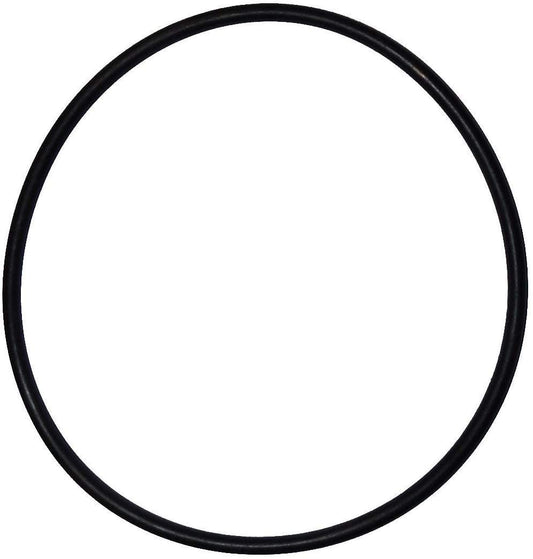 GDAOJGUHPOQ - Junta tórica de repuesto 151122 compatible con filtros de agua Pentek Big Blue Tamaño ORing Buna-N (paquete de 4)