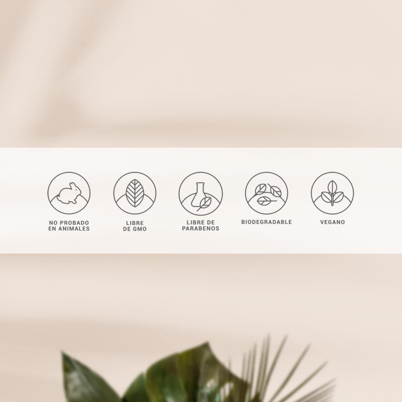 Kit de Sérum de Día y Noche para Rostro de 60 ml C/U con 96% de Ingredientes Naturales. Adicionado con Vitamina C y Ácido Hialurónico. Skincare Antiarrugas. Kit Serum B Life.