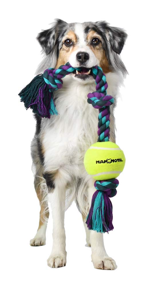 Mammoth Flossy Chews Color 3 Knot Tug w/Standard Tennis Ball – Premium Cotton-Poly Tug Toy for Dogs – Interactive Dog Tug Toy – Rope Dog Toy with Tennis Ball for Medium Dogs - 20”