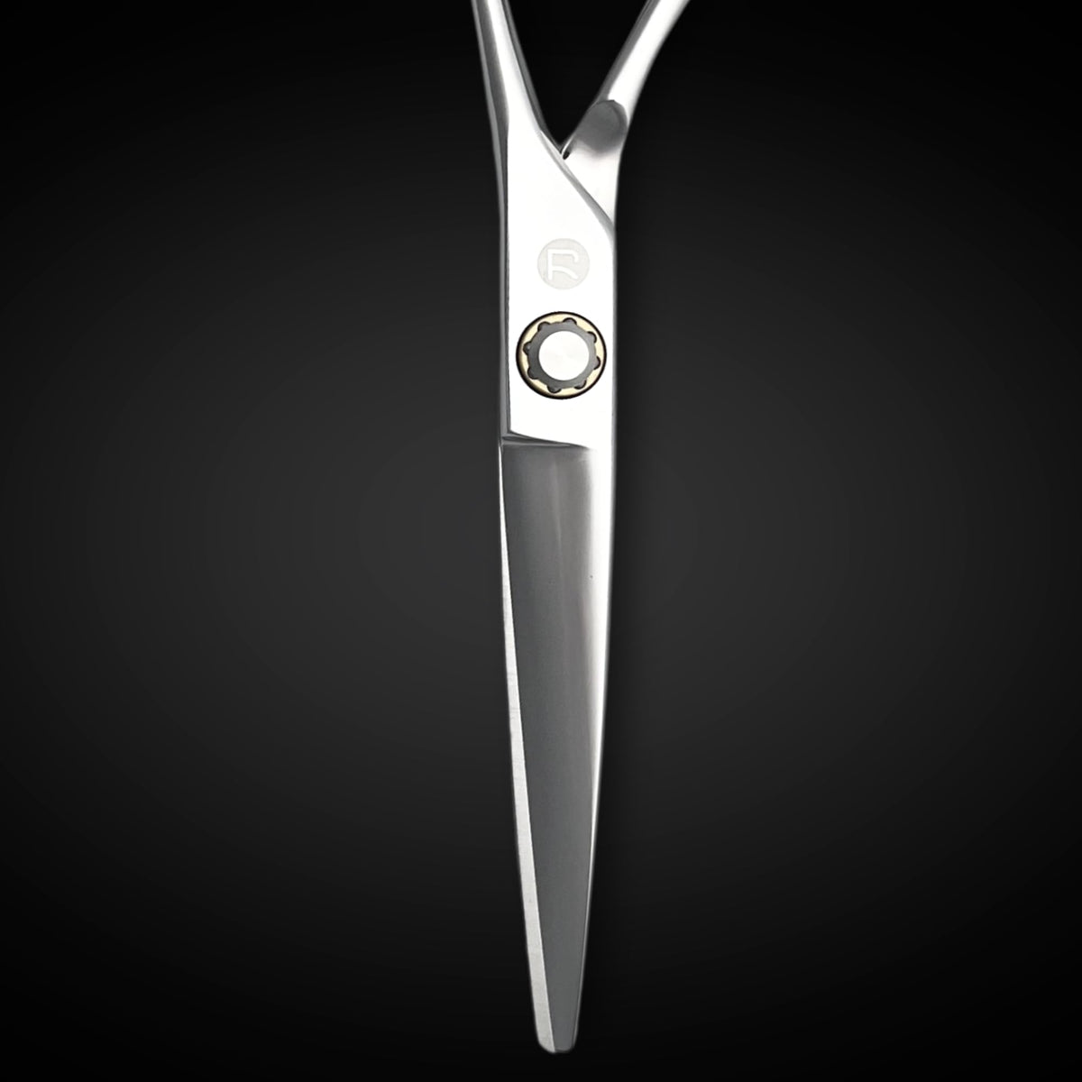 Saki Shears Tijeras profesionales para cortar el cabello - 6 pulgadas - Hoja convexa - Acero inoxidable japonés 440C - Para corte húmedo o seco - Musashi para peluqueros y barberos