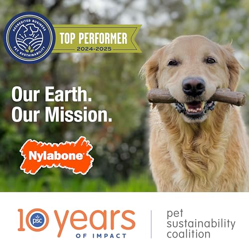 Juguete Masticable Nylabone Original Duradero para Perros Grande/Gigante
