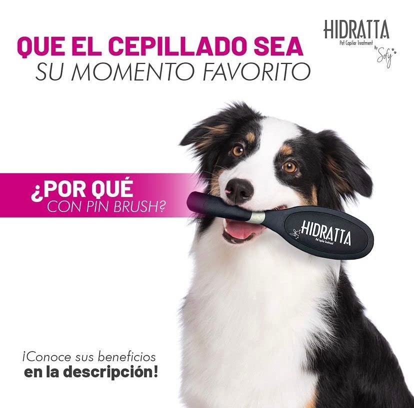 cepillo para polvo para mascotas - cepillo para polvo mantequilla