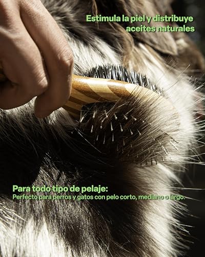 Cool Bambú - Cepillo de Bambú Dual Chico para Mascotas, Beige