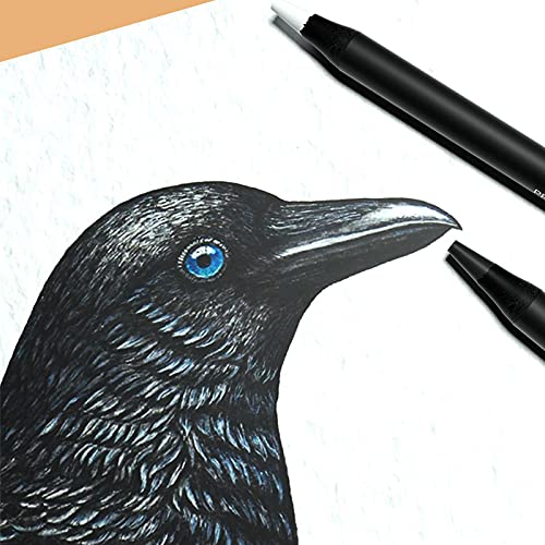 IND-0276 Professional Color Set Indra 24 Lápices Diferentes Colores +4 Adicionales Bicolores Colores Metálicos Neón Sacapuntas Incluido Cuerpo Redondo Madera Negra