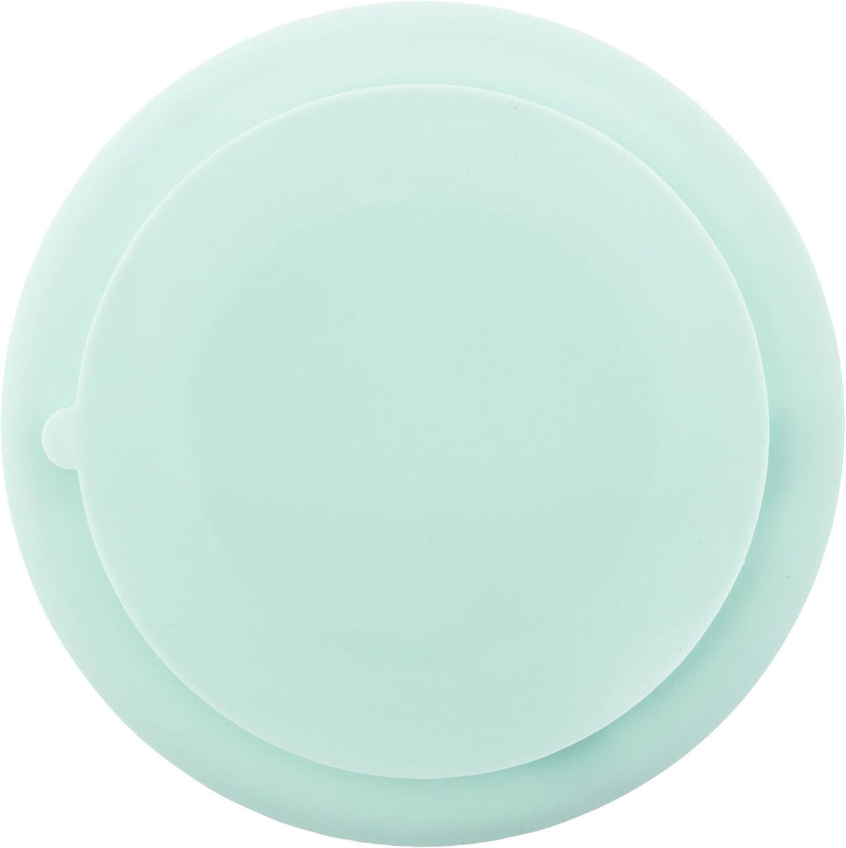 Stephen Joseph - Plato de silicona para bebé, talla única, color Dino