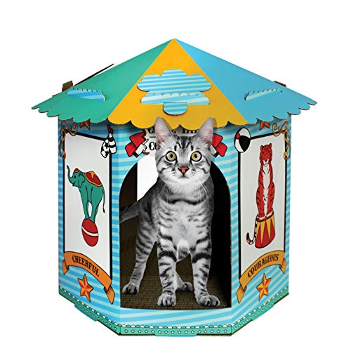 ACC a American Cat Club, Circus