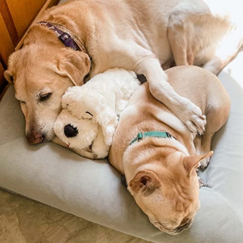 Juguete Comportamental Smart Pet Love Snuggle Puppy Dorado