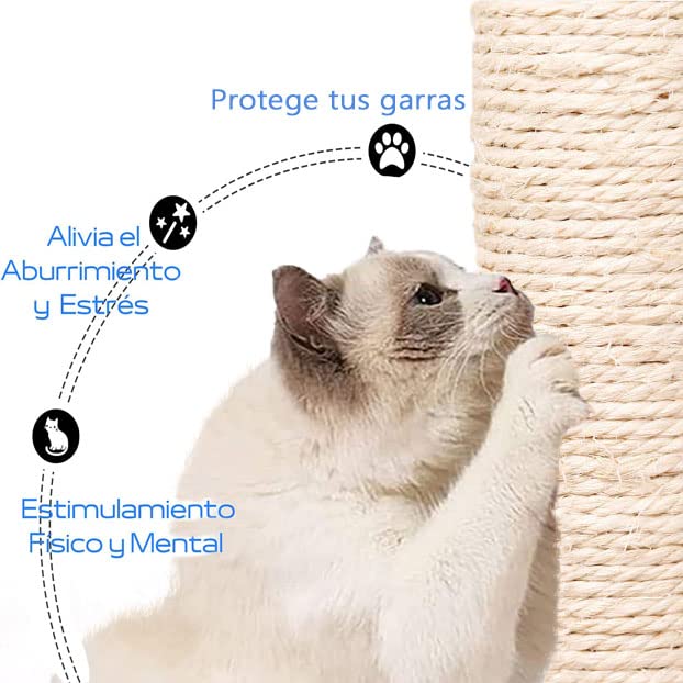 FRANCISCO Árbol para Gatos,Tres Capas Torre para Gatos,Varios Niveles con Postes Rascadores de Sisal, Centro de Actividades,Juguete para Ratones,Casa de Juegos para Gatitos,Mueble para Gato.