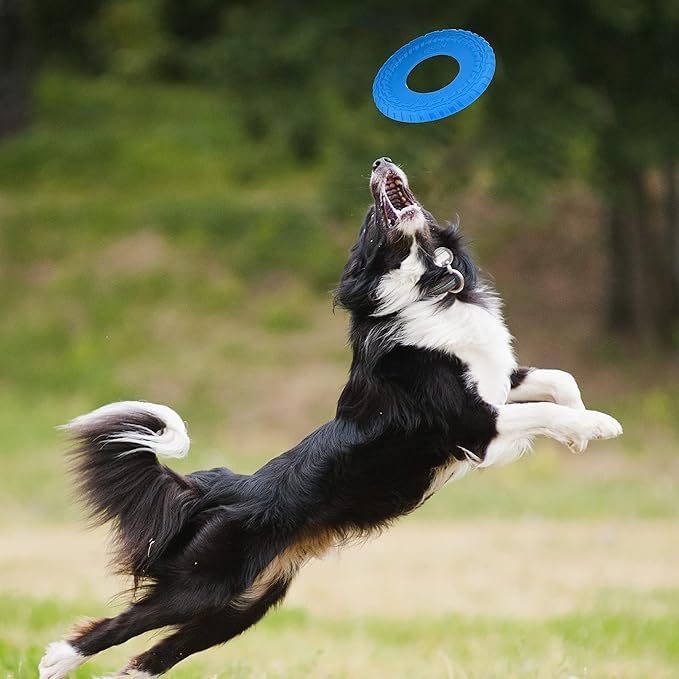 Frisbee Nerf Dog Azul Flotante y Duradero para Perros Razas Medias/Grandes