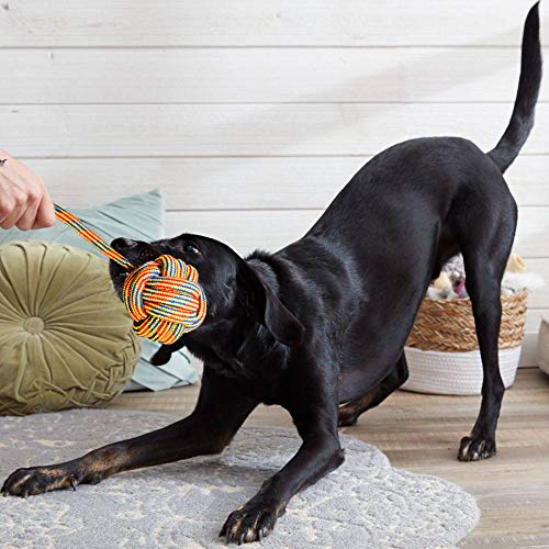 Juguetes de Cuerda Youngever Multicolor para Perros XL Grandes