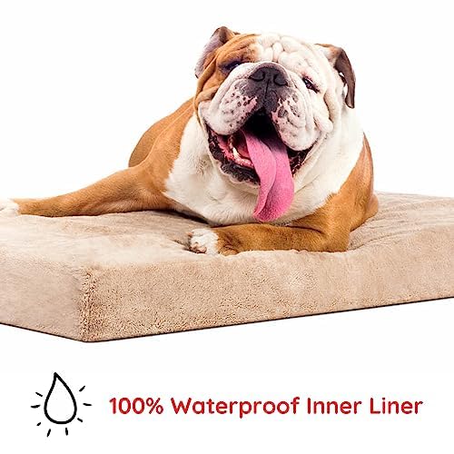 Cama para perro ortopédica de Memory Foam de 10 cm Brindle: cubierta de velvetón extraíble con lino impermeable, tamaño mediano, color caqui, 86 x 56 cm