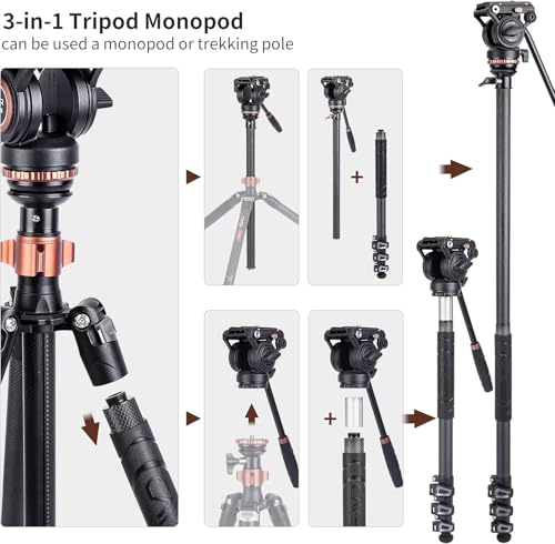 Cayer Trípodes de Cámara, Trípode de Video de Fibra de Carbono de 196 cm con Cabeza de Fluido, Trípode DSLR de Convertible a Monopié para Cámara DSLR, Capacidad de Carga de 6 kg - CF2451H6