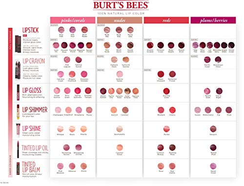 Burt's Bees Bálsamo Labial con Color, Sweet Violet, 4.25 g