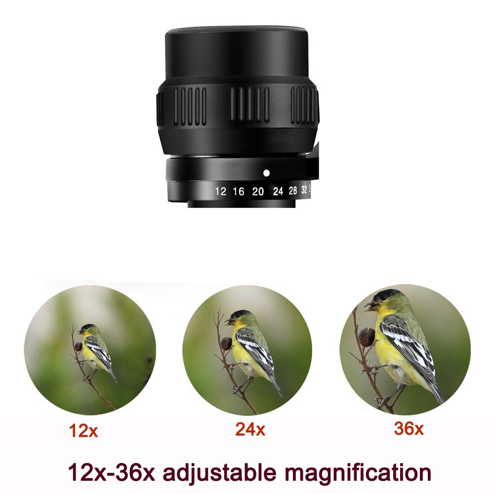 BORWOLF - Prismáticos profesionales de alta ampliación HD de 12 a 36 x 60 pulgadas, telescopio de caza al aire última intervensión, prismáticos de alta potencia para observación de aves