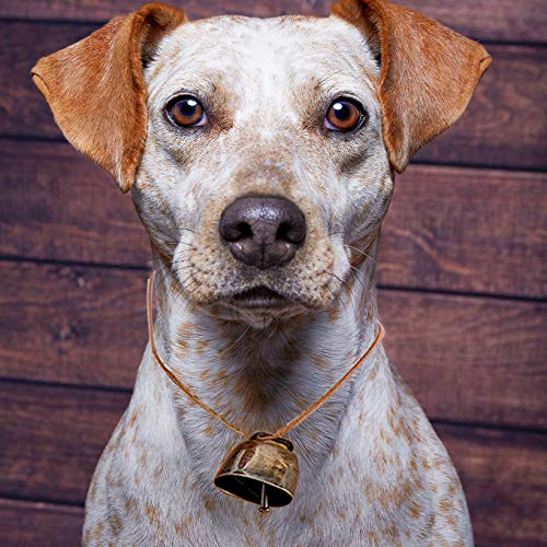 Campanas de Pastoreo de Cobre Bronce Rojo 5 Piezas para Animales y Accesorios Antirrobo