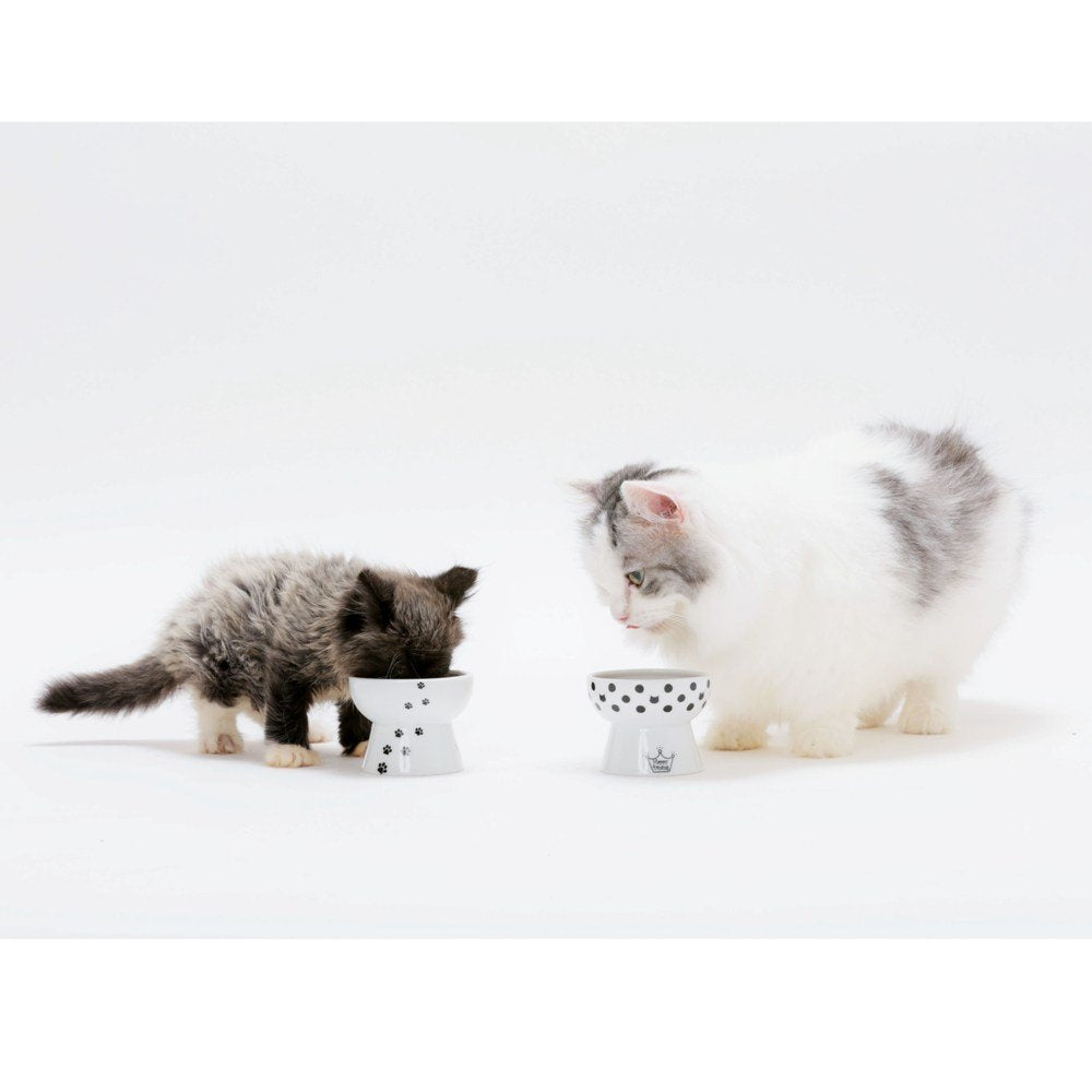 Cuenco Elevado NECOICHI Gato Mini prevención de reflujo y sin estrés apto para lavavajillas y microondas