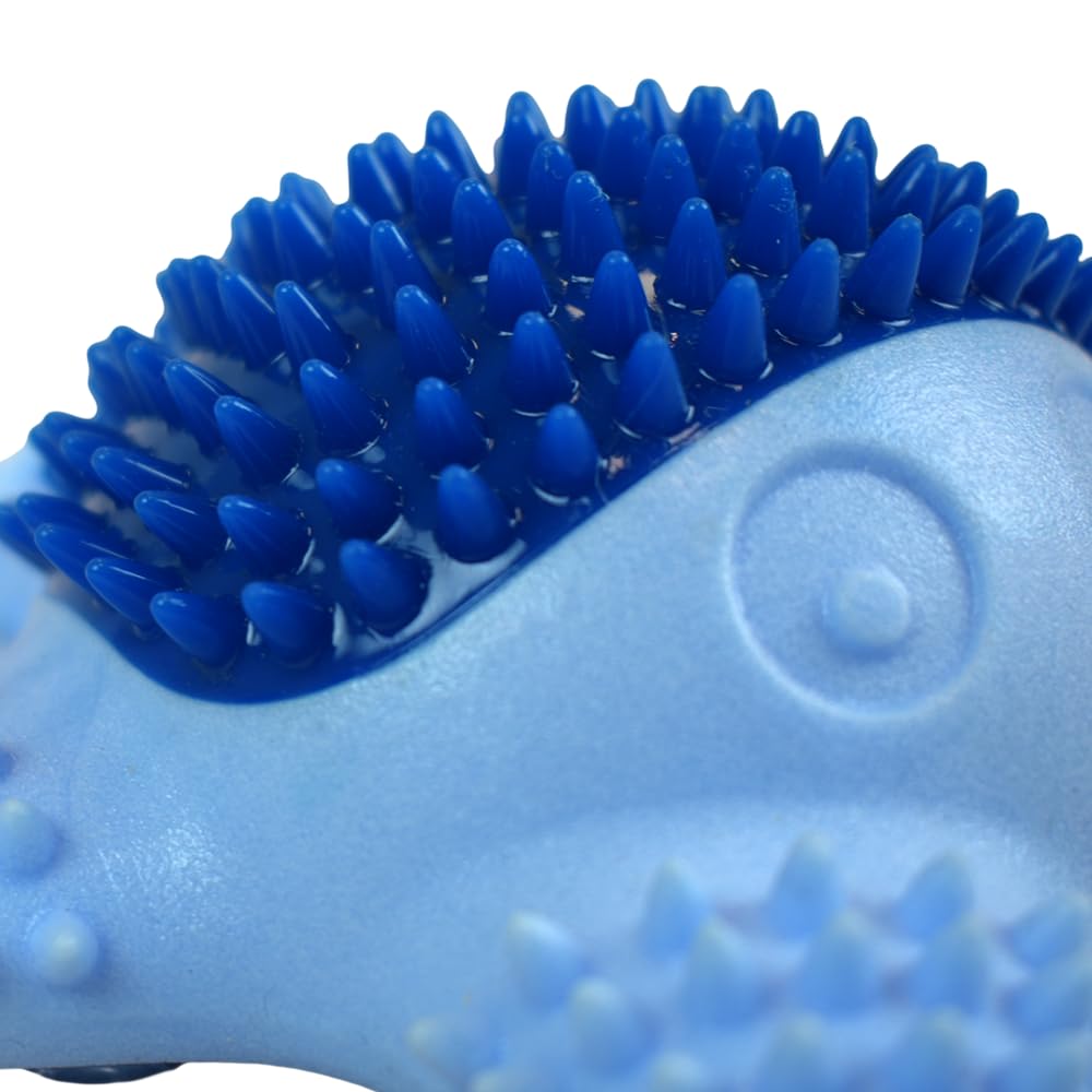 Juguete para Perros Fancy Pets Estrella de Mar Spiky